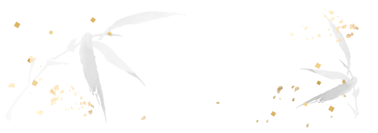 套餐介绍